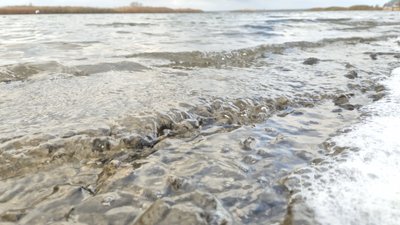 Розширення Ташлицької ГАЕС: екологи попереджають про загрозу для води та флори Розширення Ташлицької ГАЕС: екологи попереджають про загрозу для води та флори