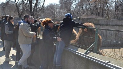 В Одесі відкрився зоопарк. ФОТО В Одесі відкрився зоопарк. ФОТО