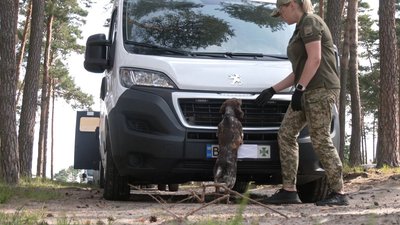 На Львівщині собаки-прикордонники склали іспит На Львівщині собаки-прикордонники склали іспит
