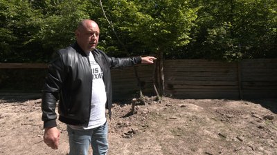 По сусідству з хижаками: що відбувається в прикарпатських селах, де фіксують напади ведмедів По сусідству з хижаками: що відбувається в прикарпатських селах, де фіксують напади ведмедів