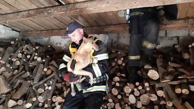 Майже півтори тисячі рятувальників на Закарпатті відзначають професійне свято
