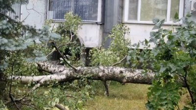 У Запоріжжі негода спричинила знеструмлення понад 8,5 тисяч споживачів У Запоріжжі негода спричинила знеструмлення понад 8,5 тисяч споживачів