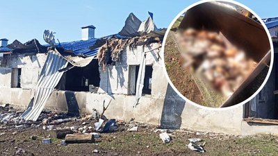 РФ вдарила по фермерському господарству у Лозівській громаді