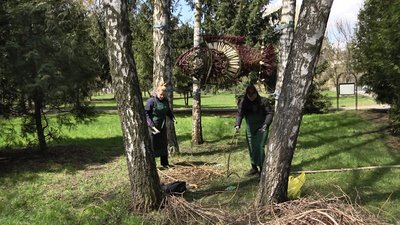 У луцькому парку майструють мистецькі об’єкти. Що там буде