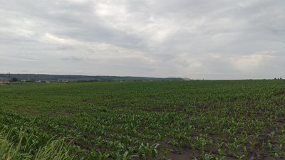 Як продати землю, яку орендують на Тернопільщині Як продати землю, яку орендують на Тернопільщині