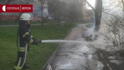 На Херсонщині за добу шість разів горів сухостій, - ДСНС