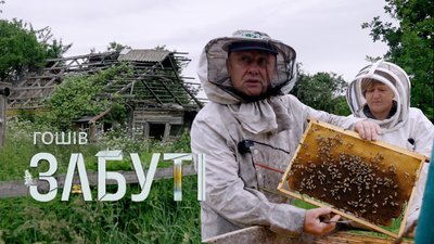 Житомир, Забуті, забуті села, вимираючі села, Гошів, 12 червня 2026 року