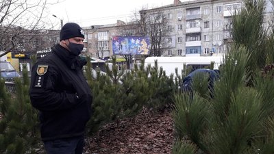 У Кропивницькому перевірили законність продажу ялинок. Браконьєрських не знайшли
