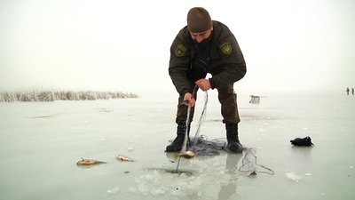 Рейд річками Житомирщини: 100 метрів сіток та 20 інших заборонених знарядь лову риби забрали у рибалок Рейд річками Житомирщини: 100 метрів сіток та 20 інших заборонених знарядь лову риби забрали у рибалок