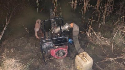 бурштин і вилучення бурштин і вилучення