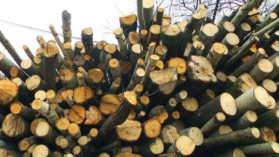 "Працюють на електроенергії і на бензині": "Вінницяоблтеплоенерго" закупило три дровоколи "Працюють на електроенергії і на бензині": "Вінницяоблтеплоенерго" закупило три дровоколи