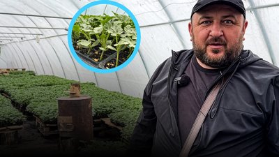 Кавуни в Донецькій області