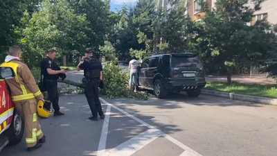 Автомобіль, на який впало дерево