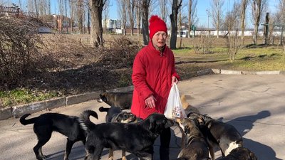 Черкаські волонтери врятували собак із Херсона Черкаські волонтери врятували собак із Херсона