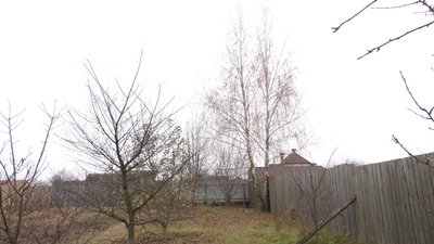 Знайшли мертвими після ДТП: деталі загибелі двох людей на Рівненщині