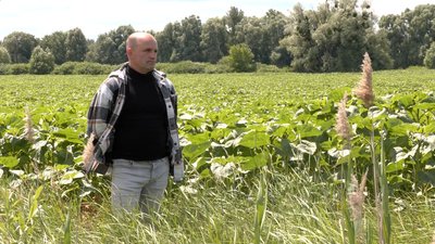 На Черкащині браку фермерів