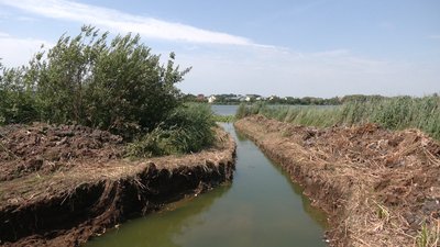 У Рівному сфотографували трубу, яка веде в озеро Басів Кут. Чия вона
