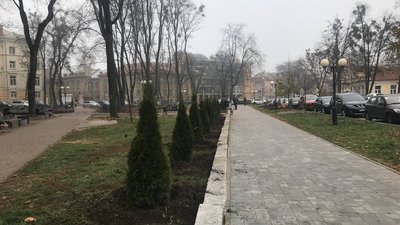 У Полтаві на висадку дерев спрямували пів мільйона гривень з бюджету громади У Полтаві на висадку дерев спрямували пів мільйона гривень з бюджету громади