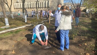 "Зелена країна": на території херсонської лікарні висадили 18 дубів