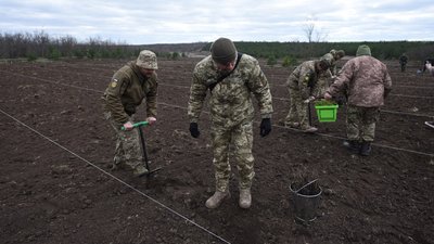 "Зелена країна". На Миколаївщині висаджували лісові дерева "Зелена країна". На Миколаївщині висаджували лісові дерева