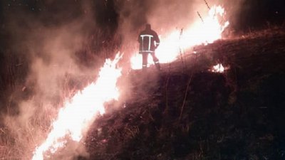 На Франківщині поблизу лісу горить суха трава: що про це відомо На Франківщині поблизу лісу горить суха трава: що про це відомо