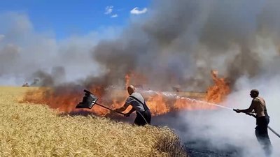 Через обстріли з боку військ РФ сталися пожежі на полях Миколаївщини
