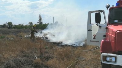 На Херсонщині за добу - 6 пожеж в екосистемах, знову горів ліс
