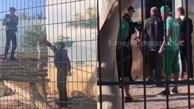 В Одесі чоловік заліз до вольєра зі левами, аби познімати їх на відео В Одесі чоловік заліз до вольєра зі левами, аби познімати їх на відео