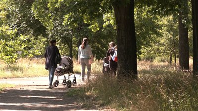 Виплати дітям ВПО Виплати дітям ВПО