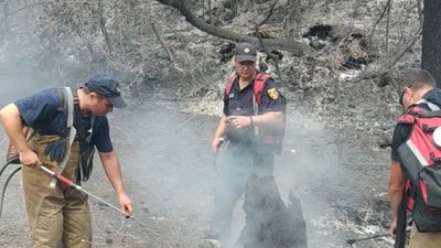 "Летів попіл з неба": спогади полтавські рятувальники про гасіння пожеж у Греції "Летів попіл з неба": спогади полтавські рятувальники про гасіння пожеж у Греції