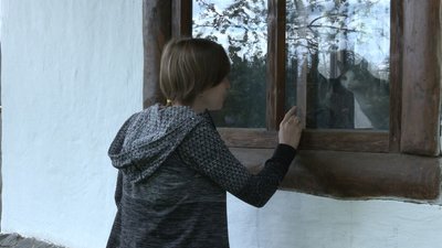 "Із автобуса дружно кричали коти" – харків'янка привезла до Черкас 70 тварин