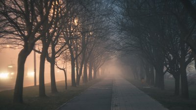Прогноз погоди: передостанній тиждень року на Миколаївщині не принесе відчутних змін