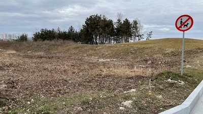 На Набережній Перемоги у Дніпрі вирубали дерева у зеленій зоні. У міськраді кажуть, що задля ремонту На Набережній Перемоги у Дніпрі вирубали дерева у зеленій зоні. У міськраді кажуть, що задля ремонту
