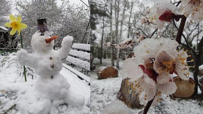 Ліплять сніговиків у квітні: черкащани діляться світлинами засніженої області