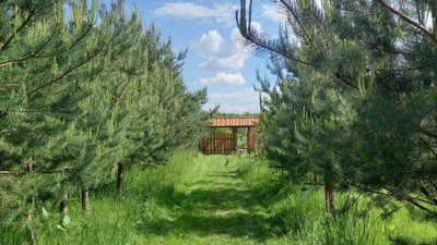Житомир марафон Житомир марафон