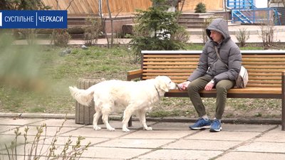 У парках та лісах Черкащини активізувалися кліщі У парках та лісах Черкащини активізувалися кліщі