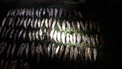 Чоловік, якого підозрюють у браконьєрстві, - майор поліції в Івано-Франківській області
