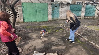 Херсонські волонтери знайшли родину врятованій собаці Херсонські волонтери знайшли родину врятованій собаці