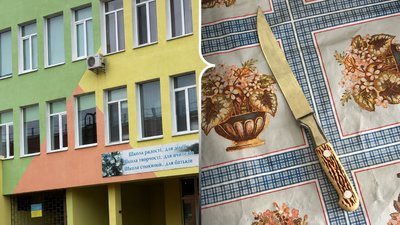 Ножове поранення школяра у Кропивницькому – які результати перевірки