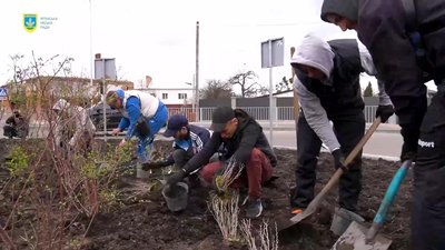 Озеленення Ірпеня: у парках міста висадять півтори тисячі квітів, подарованих меценатами