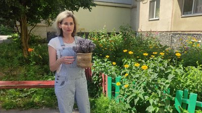 У Полтаві продають букети лаванди та збирають гроші для ЗСУ У Полтаві продають букети лаванди та збирають гроші для ЗСУ