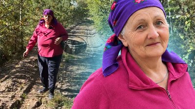 грибний сезон, гриби на Волині, гриби в Шацьку