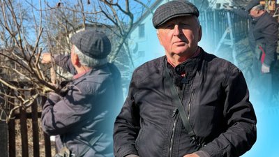 житомир, ліневич, обрізка дерев, 10 березня 2026 року