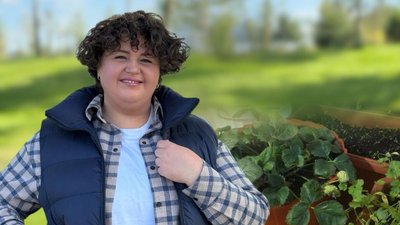 овочі, зелень на підвіконні, фітолампи, Дніпро