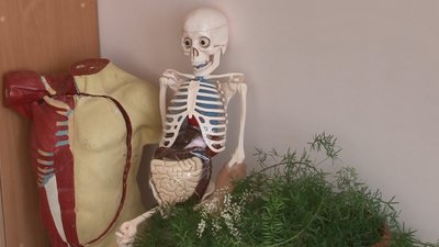 заняття заняття