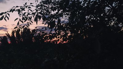 Лівий берег, Херсонщина Лівий берег, Херсонщина