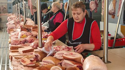 На Кіровоградщині знизилися закупівельні ціни на свиней живої ваги: причини й наслідки На Кіровоградщині знизилися закупівельні ціни на свиней живої ваги: причини й наслідки
