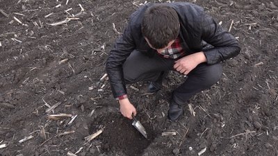 На Черкащині озиминою засіяли половину від запланованих площ На Черкащині озиминою засіяли половину від запланованих площ