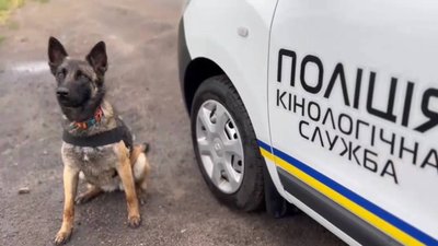 "Кінологічний спецназ". На службі у правоохоронців Миколаївщини 32 собаки