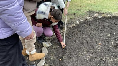 В гімназії на Тернопільщині висадили квіти перемоги В гімназії на Тернопільщині висадили квіти перемоги